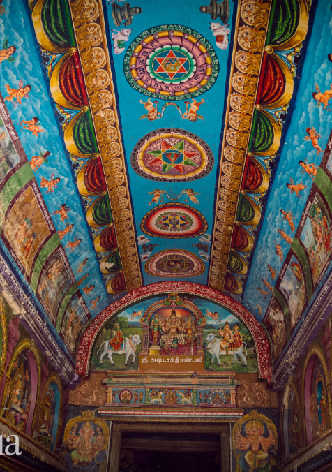 Meenakshiamman Temple, Madurai, Tamil Nadu_390A8623